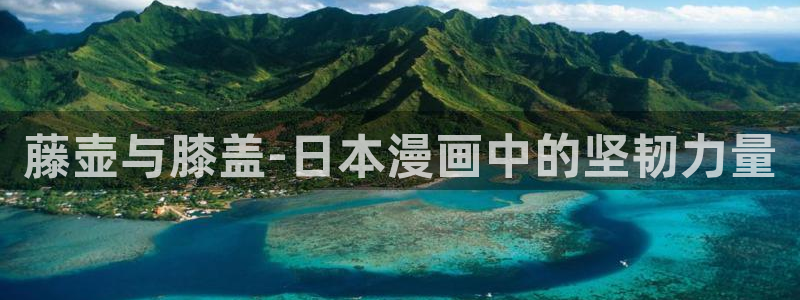 海滩女神漫画完整：藤壶与膝盖-日本漫画中的坚韧力量