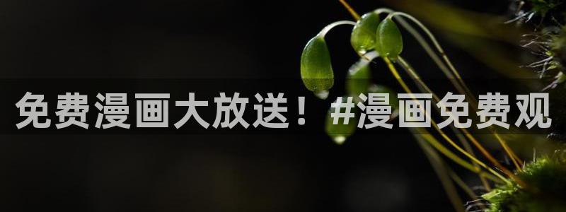 女神漫画页面免费漫画：免费漫画大放送！#漫画免费观