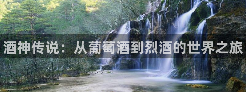 女神漫画网黄：酒神传说：从葡萄酒到烈酒的世界之旅