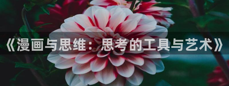 女神漫画在线观看免费：《漫画与思维：思考的工具与艺术》