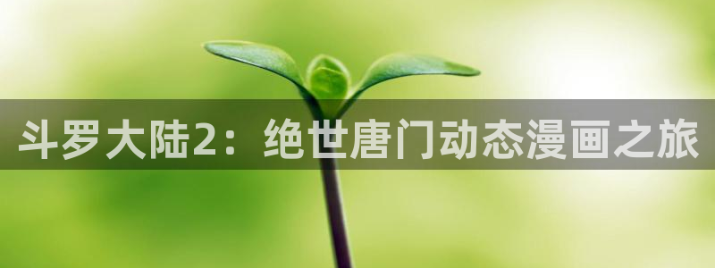 女神漫画韩漫免费阅读：斗罗大陆2：绝世唐门动态漫画之旅
